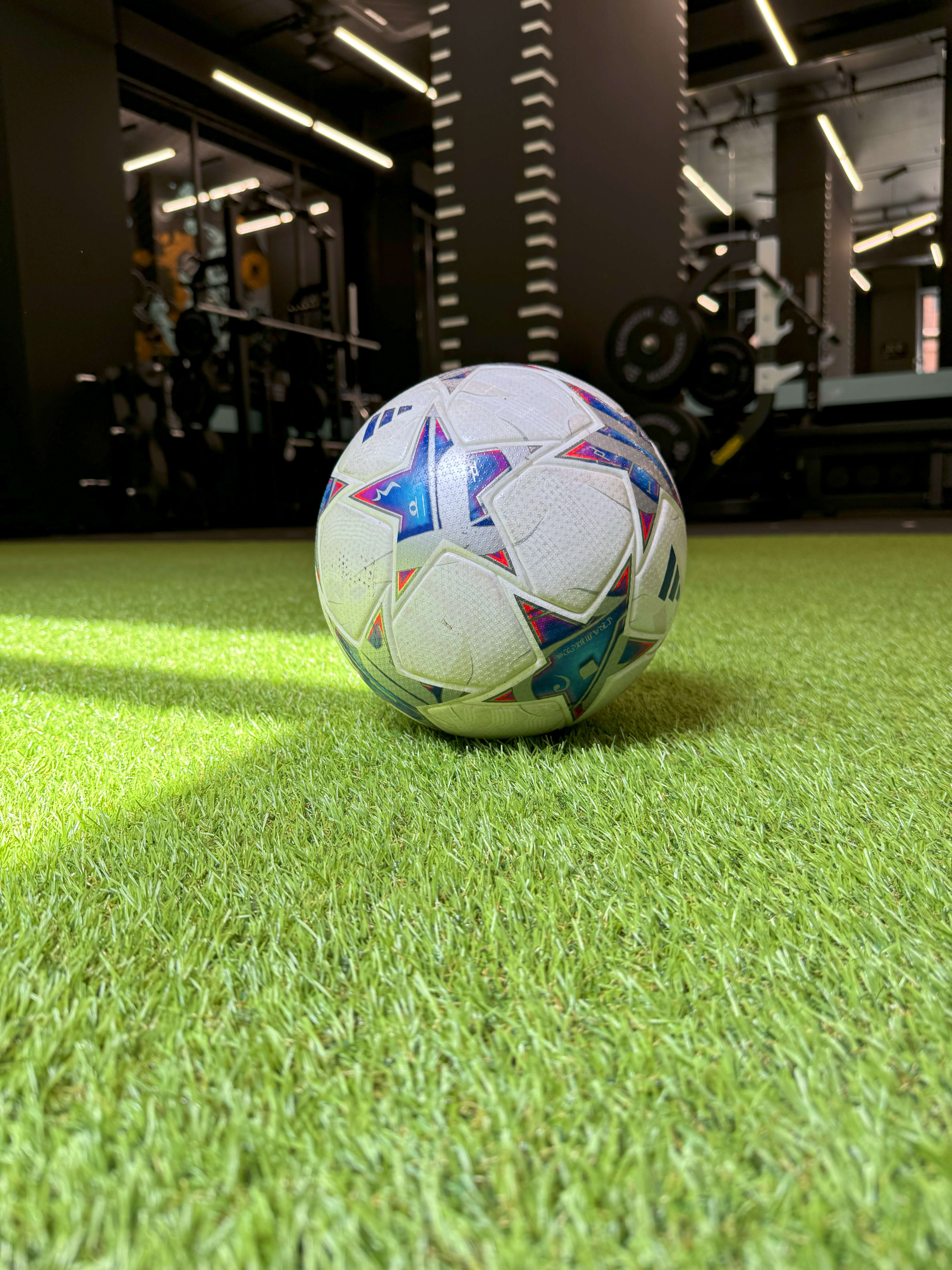 Фото - 1 Performance Sport FLOORBEST